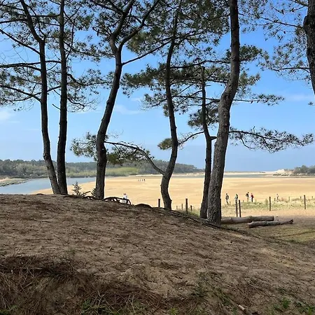 Chez Sophie Et Vincent Nyaraló *