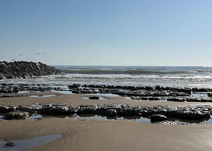 Chez Sophie Et Vincent Nyaraló *